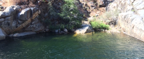 Mineral King Swimming Hole